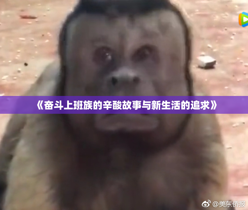 《奋斗上班族的辛酸故事与新生活的追求》