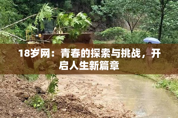 18岁网：青春的探索与挑战，开启人生新篇章