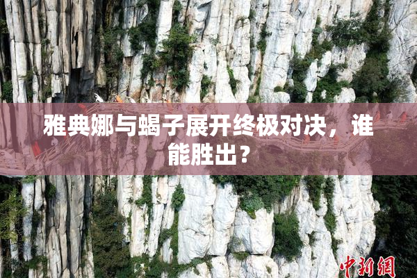 雅典娜与蝎子展开终极对决，谁能胜出？