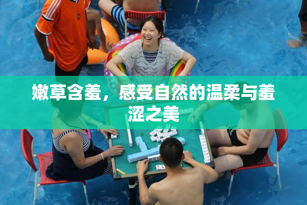 嫩草含羞，感受自然的温柔与羞涩之美