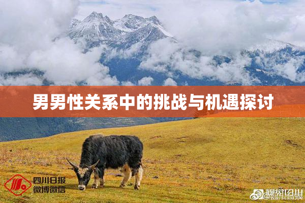 男男性关系中的挑战与机遇探讨