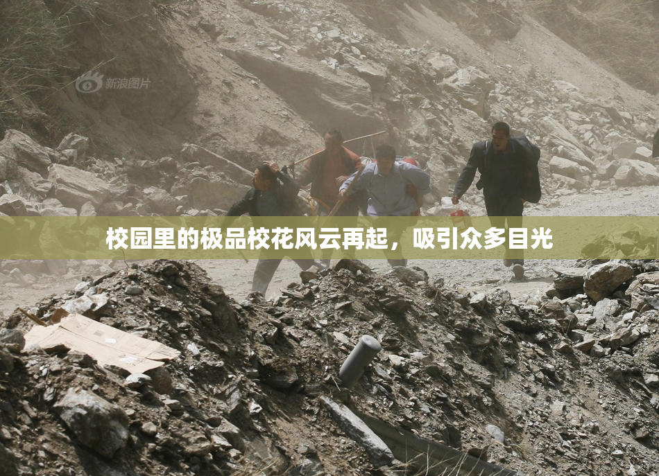 校园里的极品校花风云再起，吸引众多目光
