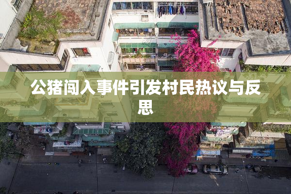 公猪闯入事件引发村民热议与反思
