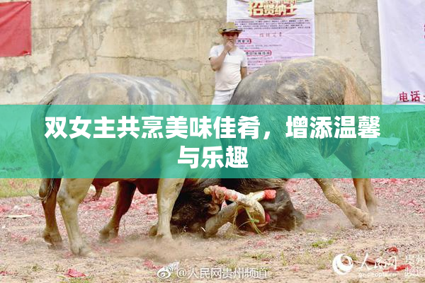 双女主共烹美味佳肴，增添温馨与乐趣