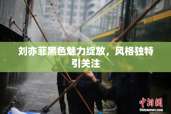 刘亦菲黑色魅力绽放，风格独特引关注