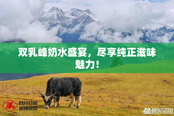 双乳峰奶水盛宴，尽享纯正滋味魅力！
