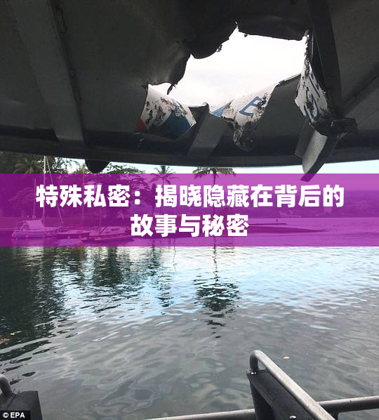 特殊私密：揭晓隐藏在背后的故事与秘密