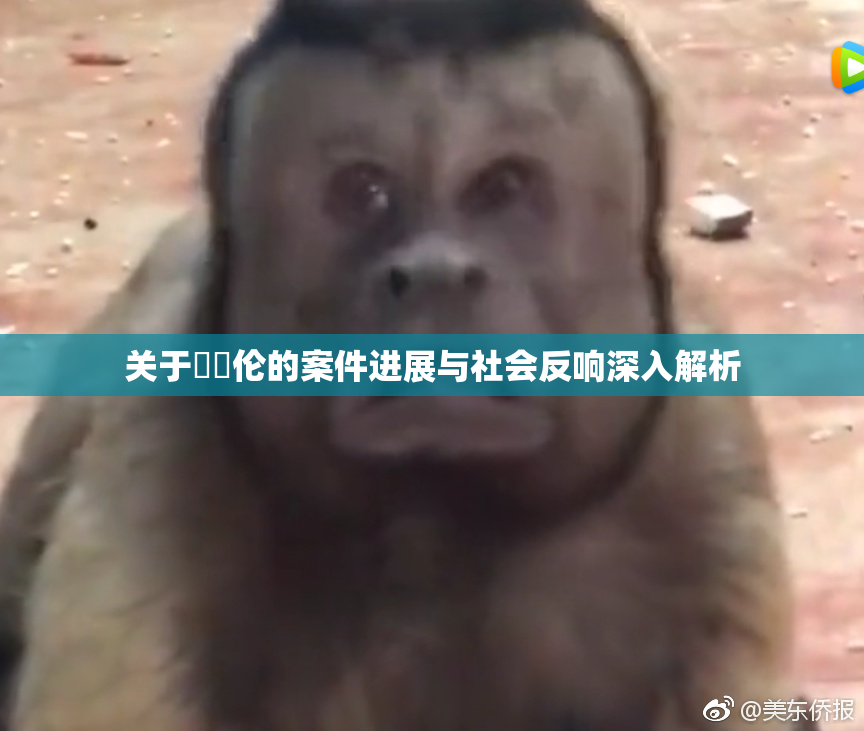 关于強姧伦的案件进展与社会反响深入解析