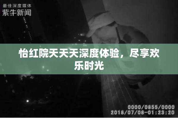 怡红院天天天深度体验，尽享欢乐时光