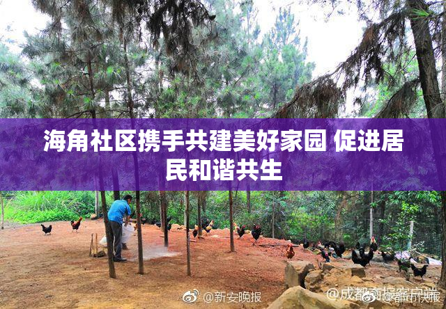 海角社区携手共建美好家园 促进居民和谐共生