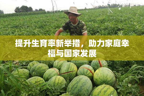 提升生育率新举措，助力家庭幸福与国家发展