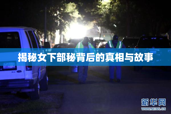 揭秘女下部秘背后的真相与故事