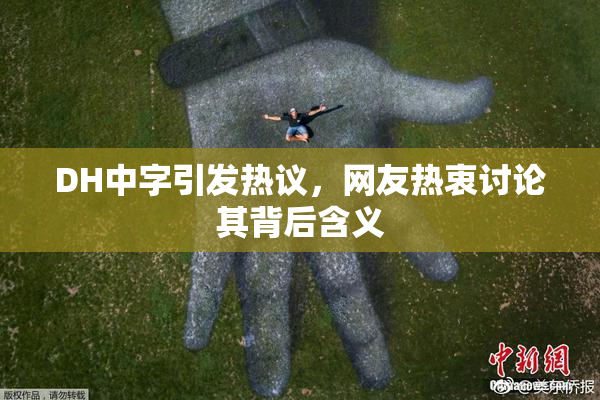 DH中字引发热议，网友热衷讨论其背后含义