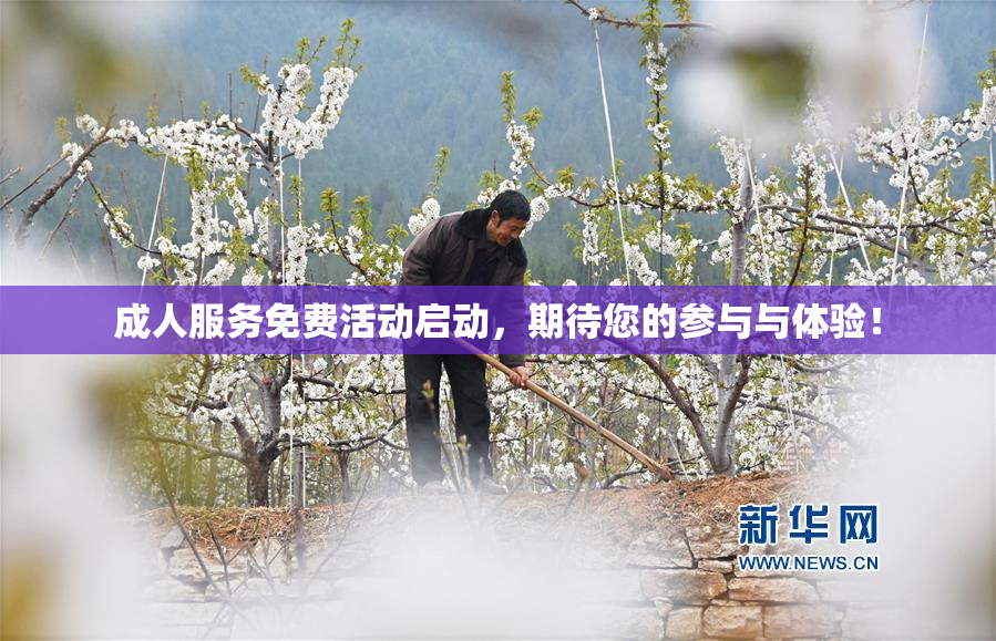 成人服务免费活动启动，期待您的参与与体验！