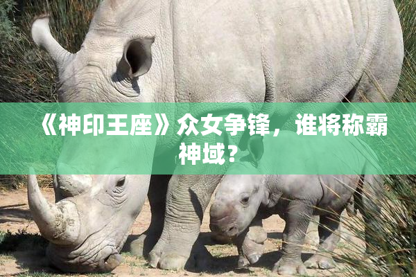 《神印王座》众女争锋，谁将称霸神域？