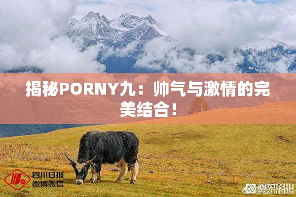 揭秘PORNY九：帅气与激情的完美结合！