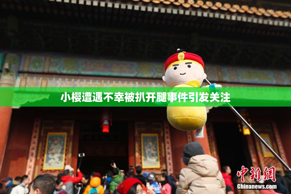 小樱遭遇不幸被扒开腿事件引发关注