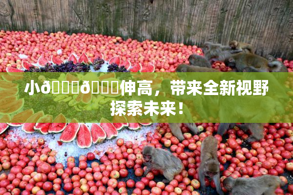 小🐔🐔伸高，带来全新视野探索未来！