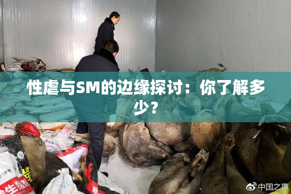 性虐与SM的边缘探讨：你了解多少？