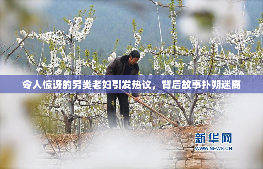 令人惊讶的另类老妇引发热议，背后故事扑朔迷离