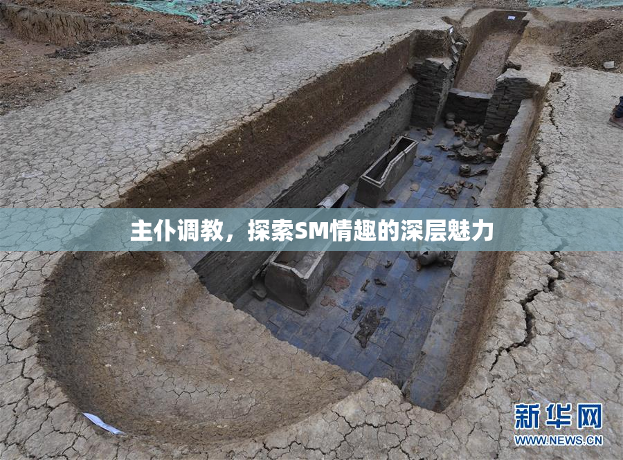 主仆调教，探索SM情趣的深层魅力