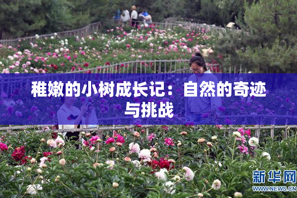 稚嫩的小树成长记：自然的奇迹与挑战