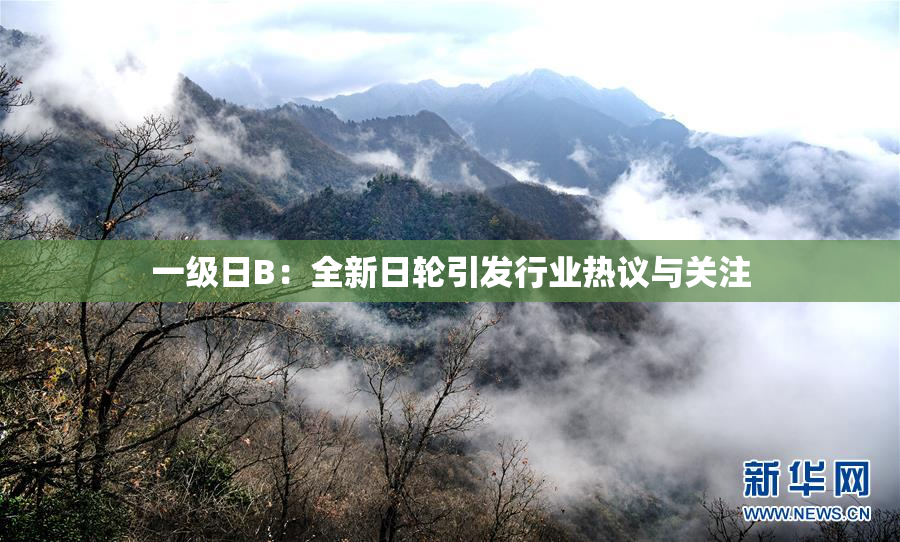 一级日B：全新日轮引发行业热议与关注