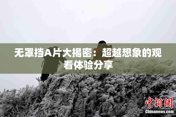 无罩挡A片大揭密：超越想象的观看体验分享