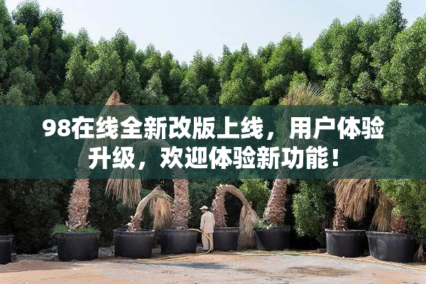 98在线全新改版上线，用户体验升级，欢迎体验新功能！