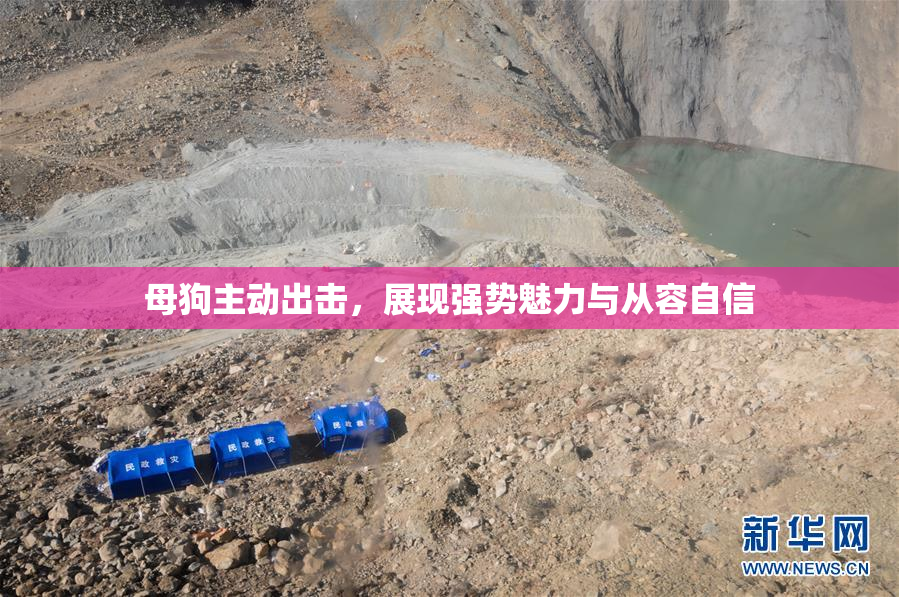 母狗主动出击，展现强势魅力与从容自信