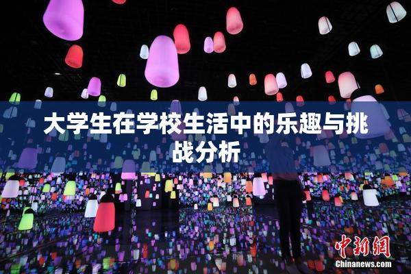 大学生在学校生活中的乐趣与挑战分析