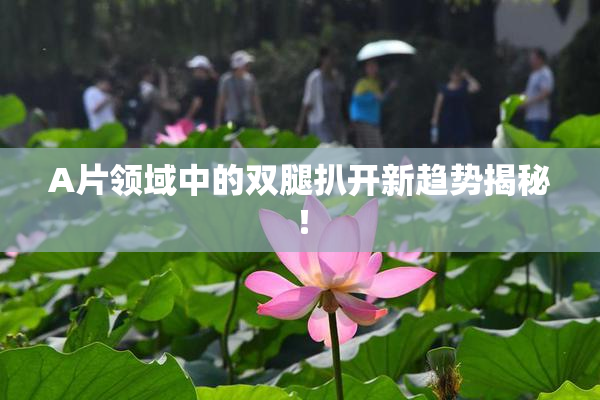 A片领域中的双腿扒开新趋势揭秘！