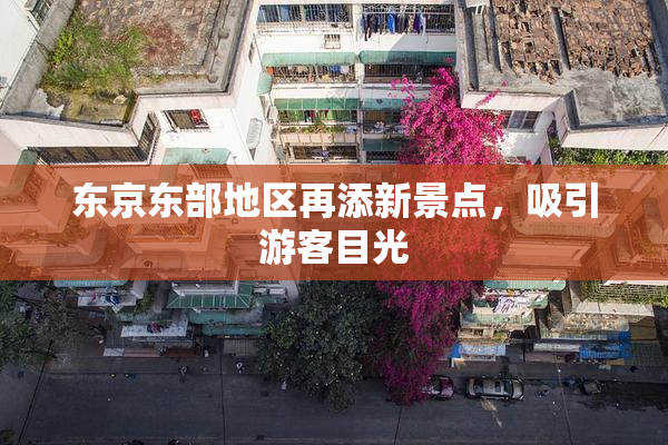 东京东部地区再添新景点，吸引游客目光