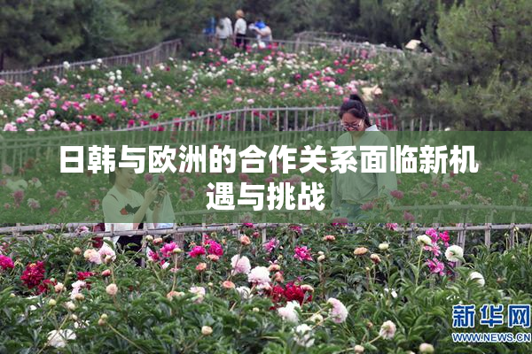 日韩与欧洲的合作关系面临新机遇与挑战