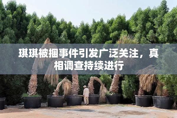 琪琪被捆事件引发广泛关注，真相调查持续进行