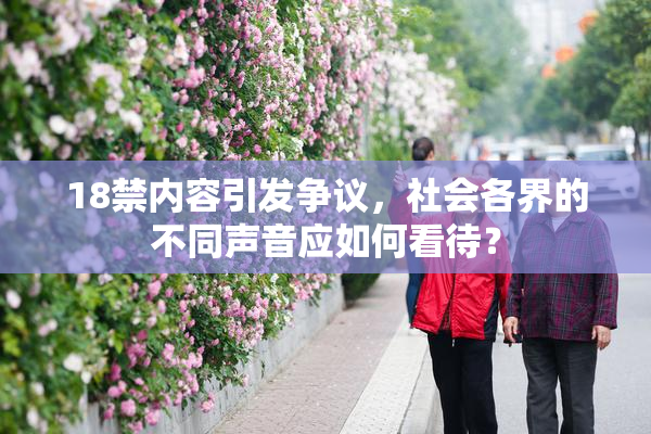 18禁内容引发争议，社会各界的不同声音应如何看待？