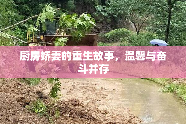 厨房娇妻的重生故事，温馨与奋斗并存