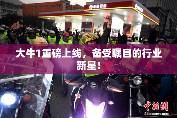 大牛1重磅上线，备受瞩目的行业新星！