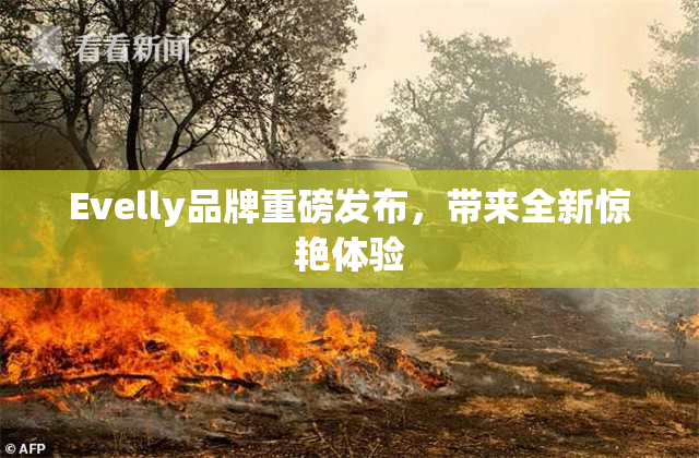 Evelly品牌重磅发布，带来全新惊艳体验