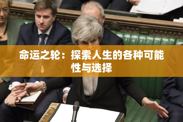 命运之轮：探索人生的各种可能性与选择