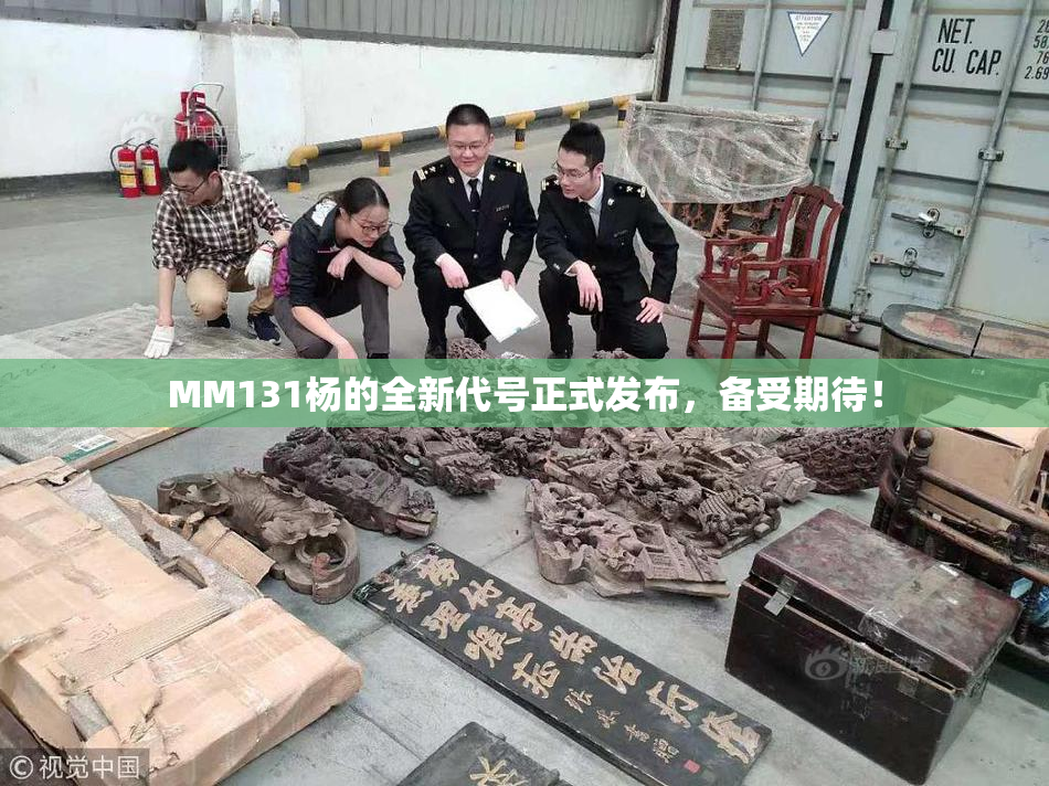 MM131杨的全新代号正式发布，备受期待！