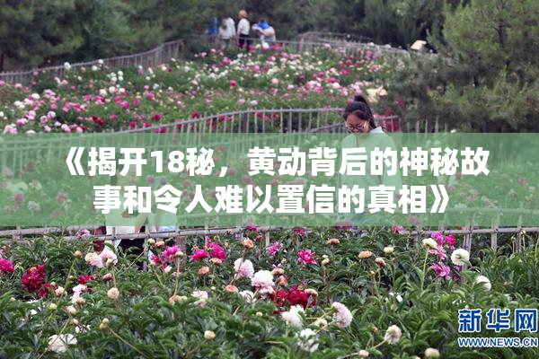 《揭开18秘，黄动背后的神秘故事和令人难以置信的真相》