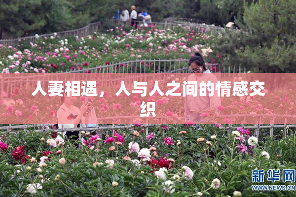人妻相遇，人与人之间的情感交织