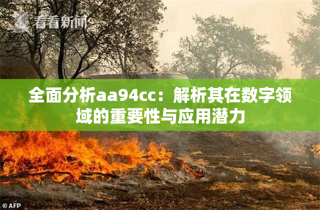 全面分析aa94cc：解析其在数字领域的重要性与应用潜力