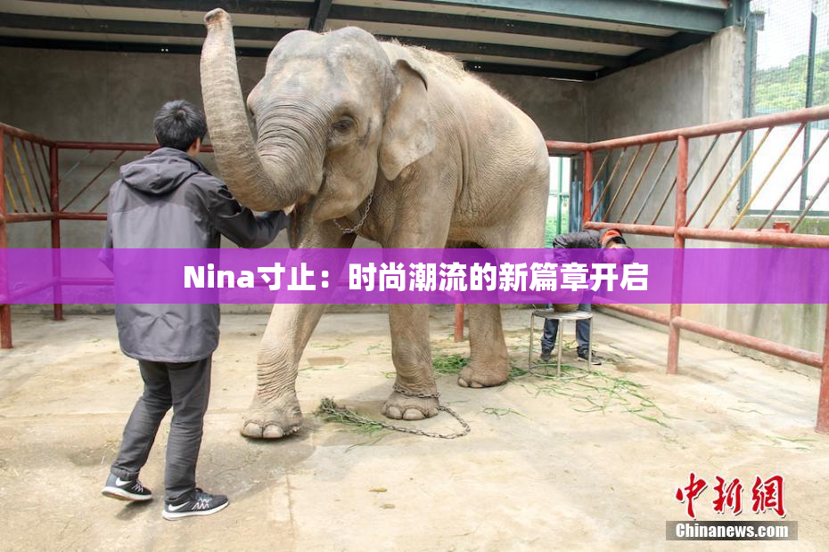 Nina寸止：时尚潮流的新篇章开启