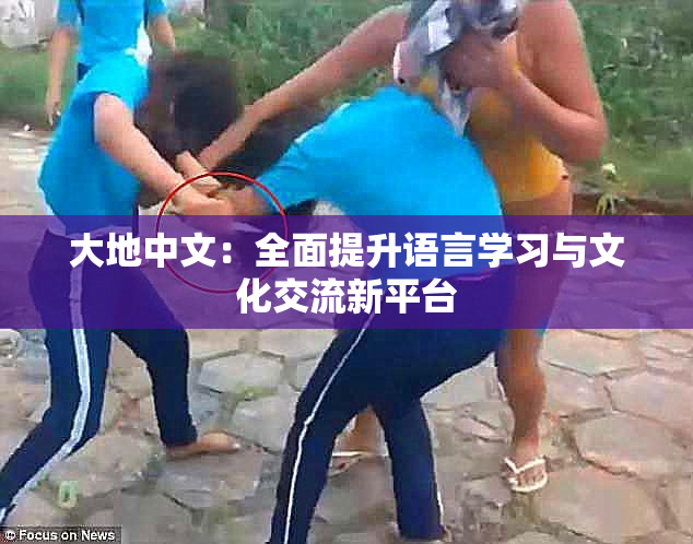 大地中文：全面提升语言学习与文化交流新平台