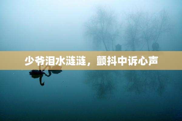 少爷泪水涟涟，颤抖中诉心声