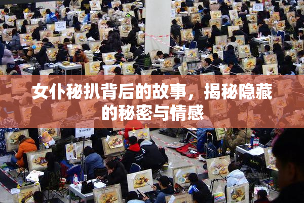 女仆秘扒背后的故事，揭秘隐藏的秘密与情感
