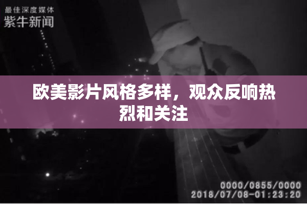 欧美影片风格多样，观众反响热烈和关注