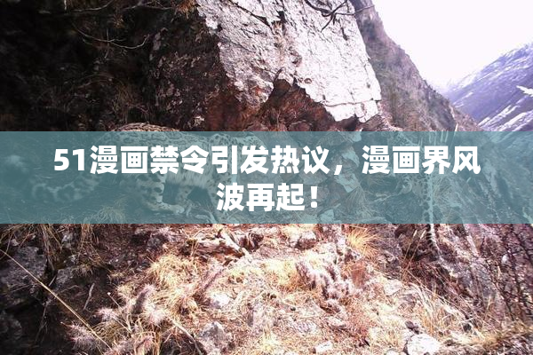 51漫画禁令引发热议，漫画界风波再起！